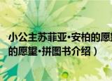 小公主苏菲亚·安柏的愿望·拼图书（关于小公主苏菲亚·安柏的愿望·拼图书介绍）