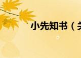 小先知书（关于小先知书介绍）