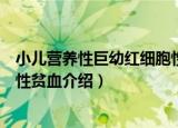 小儿营养性巨幼红细胞性贫血（关于小儿营养性巨幼红细胞性贫血介绍）