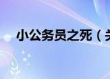 小公务员之死（关于小公务员之死介绍）