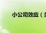 小公司效应（关于小公司效应介绍）