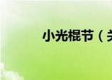 小光棍节（关于小光棍节介绍）