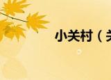 小关村（关于小关村介绍）