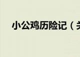 小公鸡历险记（关于小公鸡历险记介绍）