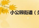 小公园街道（关于小公园街道介绍）