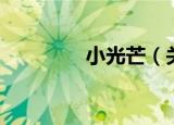 小光芒（关于小光芒介绍）