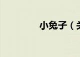 小兔子（关于小兔子介绍）