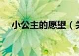 小公主的愿望（关于小公主的愿望介绍）
