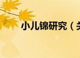 小儿锦研究（关于小儿锦研究介绍）