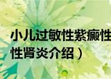小儿过敏性紫癜性肾炎（关于小儿过敏性紫癜性肾炎介绍）