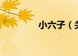 小六子（关于小六子介绍）