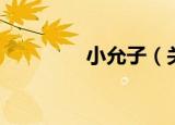 小允子（关于小允子介绍）