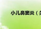 小儿鼻窦炎（关于小儿鼻窦炎介绍）