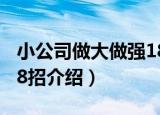 小公司做大做强18招（关于小公司做大做强18招介绍）