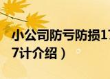 小公司防亏防损17计（关于小公司防亏防损17计介绍）