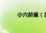 小六龄童（关于小六龄童介绍）
