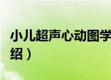 小儿超声心动图学（关于小儿超声心动图学介绍）