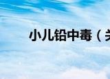 小儿铅中毒（关于小儿铅中毒介绍）