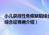 小儿获得性免疫缺陷综合征肾病（关于小儿获得性免疫缺陷综合征肾病介绍）