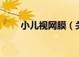 小儿视网膜（关于小儿视网膜介绍）