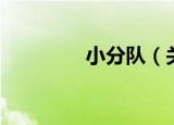 小分队（关于小分队介绍）