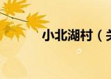 小北湖村（关于小北湖村介绍）