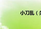 小刀乱（关于小刀乱介绍）