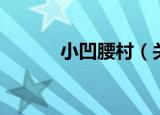 小凹腰村（关于小凹腰村介绍）