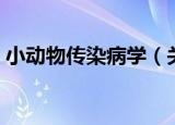 小动物传染病学（关于小动物传染病学介绍）