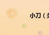 小刀（关于小刀介绍）