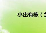小出有栋（关于小出有栋介绍）