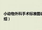 小动物外科手术标准图谱（关于小动物外科手术标准图谱介绍）