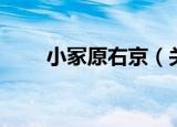 小冢原右京（关于小冢原右京介绍）