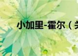 小加里-霍尔（关于小加里-霍尔介绍）