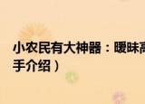 小农民有大神器：暧昧高手（关于小农民有大神器：暧昧高手介绍）
