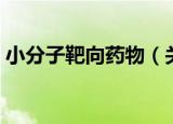 小分子靶向药物（关于小分子靶向药物介绍）