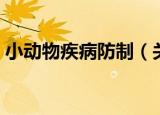 小动物疾病防制（关于小动物疾病防制介绍）