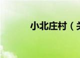 小北庄村（关于小北庄村介绍）