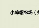 小凉帽农场（关于小凉帽农场介绍）