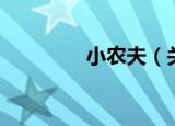 小农夫（关于小农夫介绍）