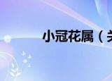 小冠花属（关于小冠花属介绍）