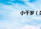 小千岁（关于小千岁介绍）