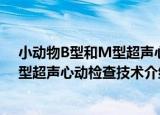 小动物B型和M型超声心动检查技术（关于小动物B型和M型超声心动检查技术介绍）