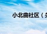 小北曲社区（关于小北曲社区介绍）