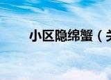 小区隐绵蟹（关于小区隐绵蟹介绍）