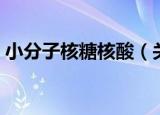 小分子核糖核酸（关于小分子核糖核酸介绍）
