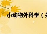 小动物外科学（关于小动物外科学介绍）