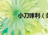 小刀锋利（关于小刀锋利介绍）