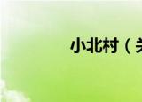 小北村（关于小北村介绍）