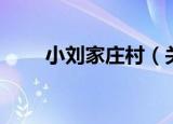 小刘家庄村（关于小刘家庄村介绍）